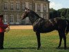 stallion Air du Nord xx (Thoroughbred, 1973, from Sadair xx)