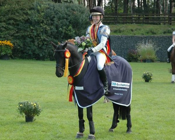 dressage horse Dutchman's Lord (German Riding Pony, 2006, from Der feine Lord AT)