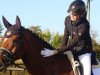 dressage horse Bubbles of Dreams (German Sport Horse, 2009, from Belissimo NRW)