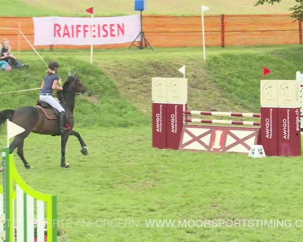 Reitturnier Aadorf 2019