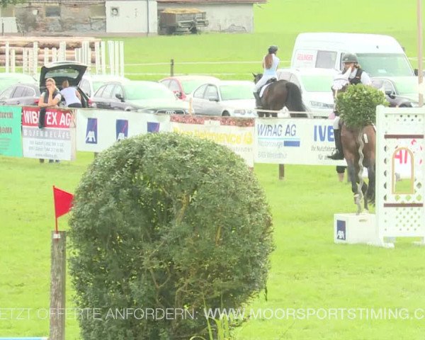 Reitturnier Aadorf 2019