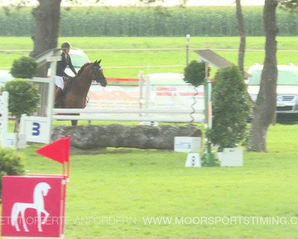 Reitturnier Aadorf 2019