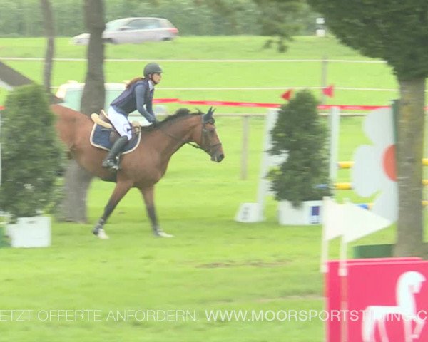 Reitturnier Aadorf 2019