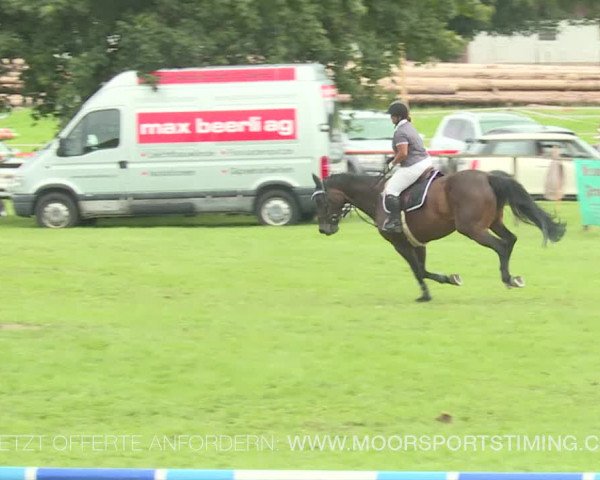 Reitturnier Aadorf 2019