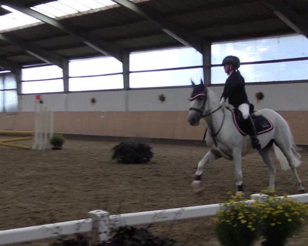 Reitturnier Datteln 2019