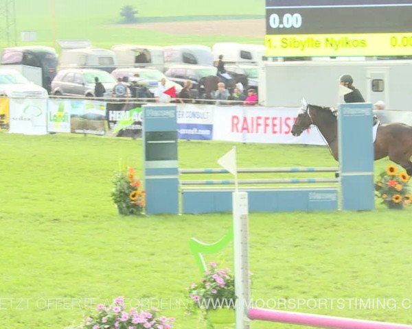 Reitturnier Aadorf 2019