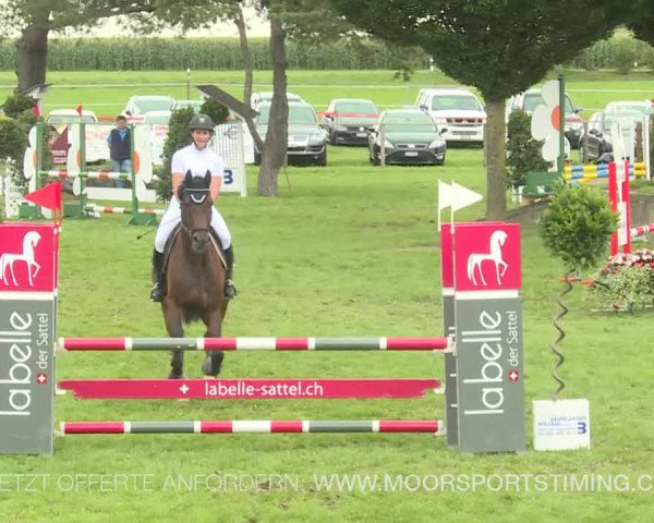 Reitturnier Aadorf 2019