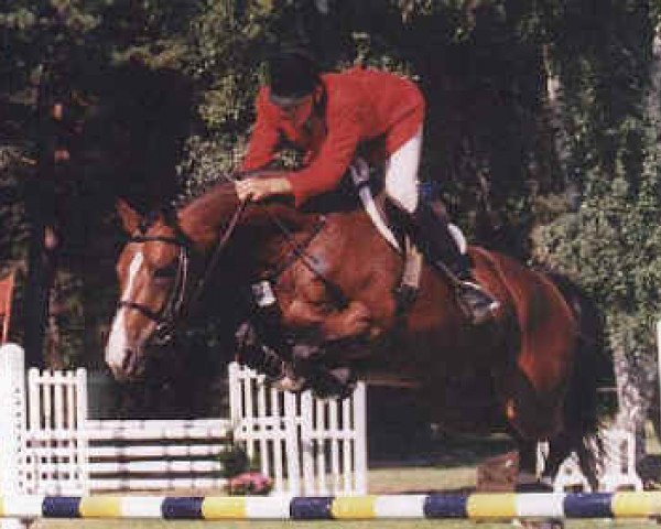 stallion Ecalgrain (Selle Français, 1992, from Quat'Sous)