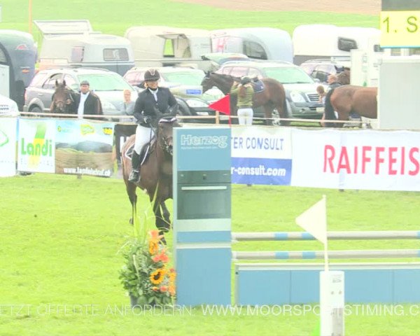 Reitturnier Aadorf 2019