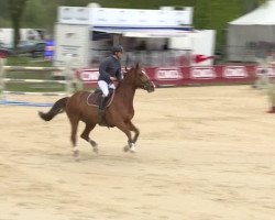 jumper Taciana du Marais (Selle Français, 2007, from Couleur Rubin)