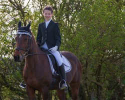 dressage horse Zitnas Silver Bell (German Riding Pony, 2004, from Vespucco)