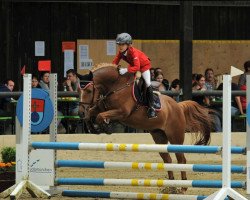 Springpferd Sidney H (Deutsches Reitpony, 2008, von Zandheuvel's Sunny Boy)