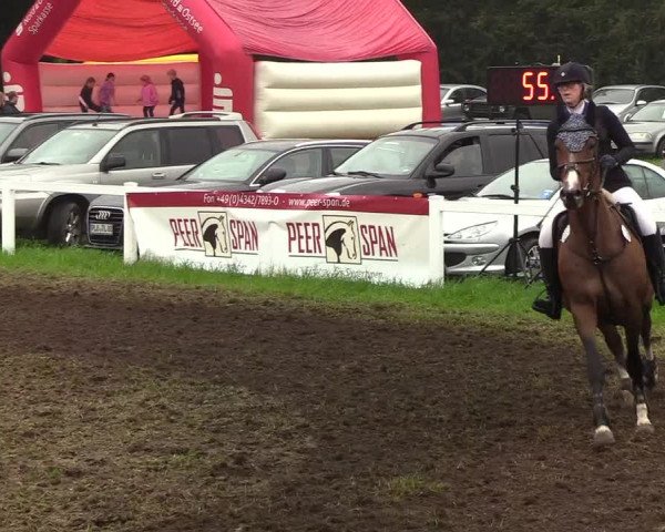 Reitturnier Langstedt-Bollingstedt 2019