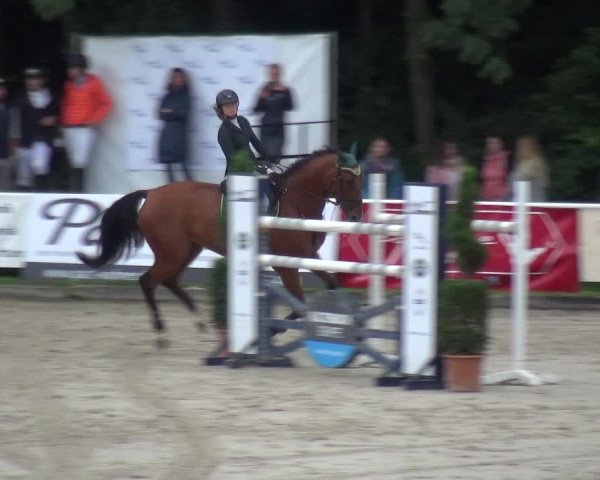 Reitturnier Bergisch Classics - Hebborner Hof 2019