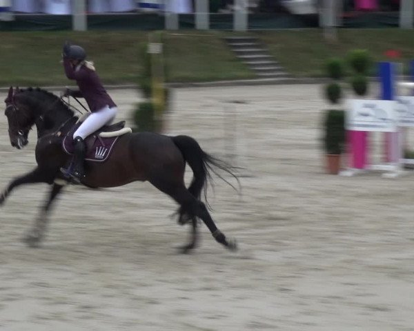 Reitturnier Bergisch Classics - Hebborner Hof 2019