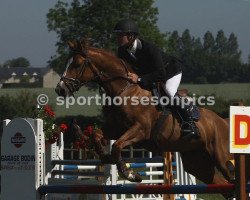 jumper Sherif du Granit (Selle Français, 2006, from Gabyscion)