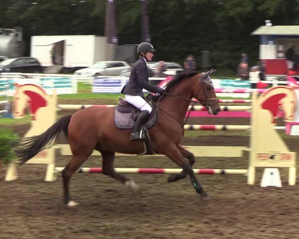 Reitturnier Langstedt-Bollingstedt 2019