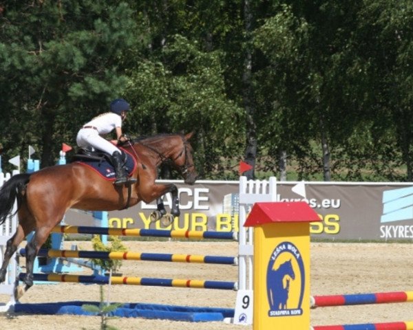 jumper Newada (Polish Warmblood, 2005, from Cavallo)