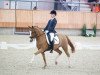 dressage horse Charming Foret (Nederlands Welsh Ridepony, 2005, from Bodo)