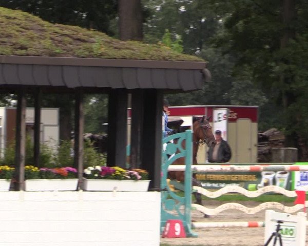 Reitturnier Datteln 2019