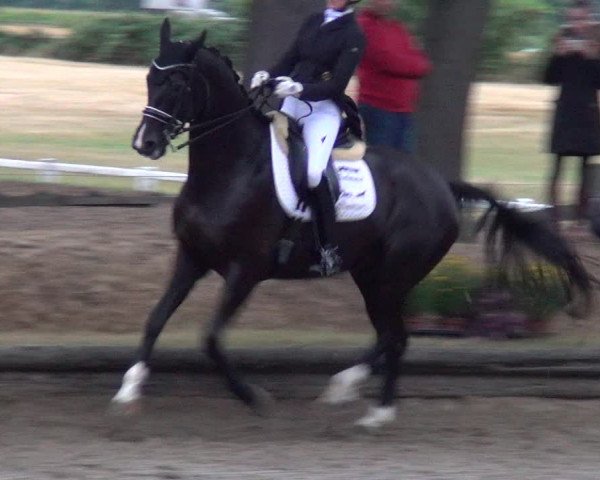 Reitturnier Datteln 2019