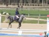 horse Ta Venus de Corbou Z (Zangersheide riding horse, 2009, from Toulon)