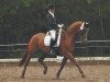 dressage horse Wakito (Hanoverian, 1999, from Wolkentanz I)