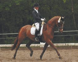 dressage horse Wakito (Hanoverian, 1999, from Wolkentanz I)