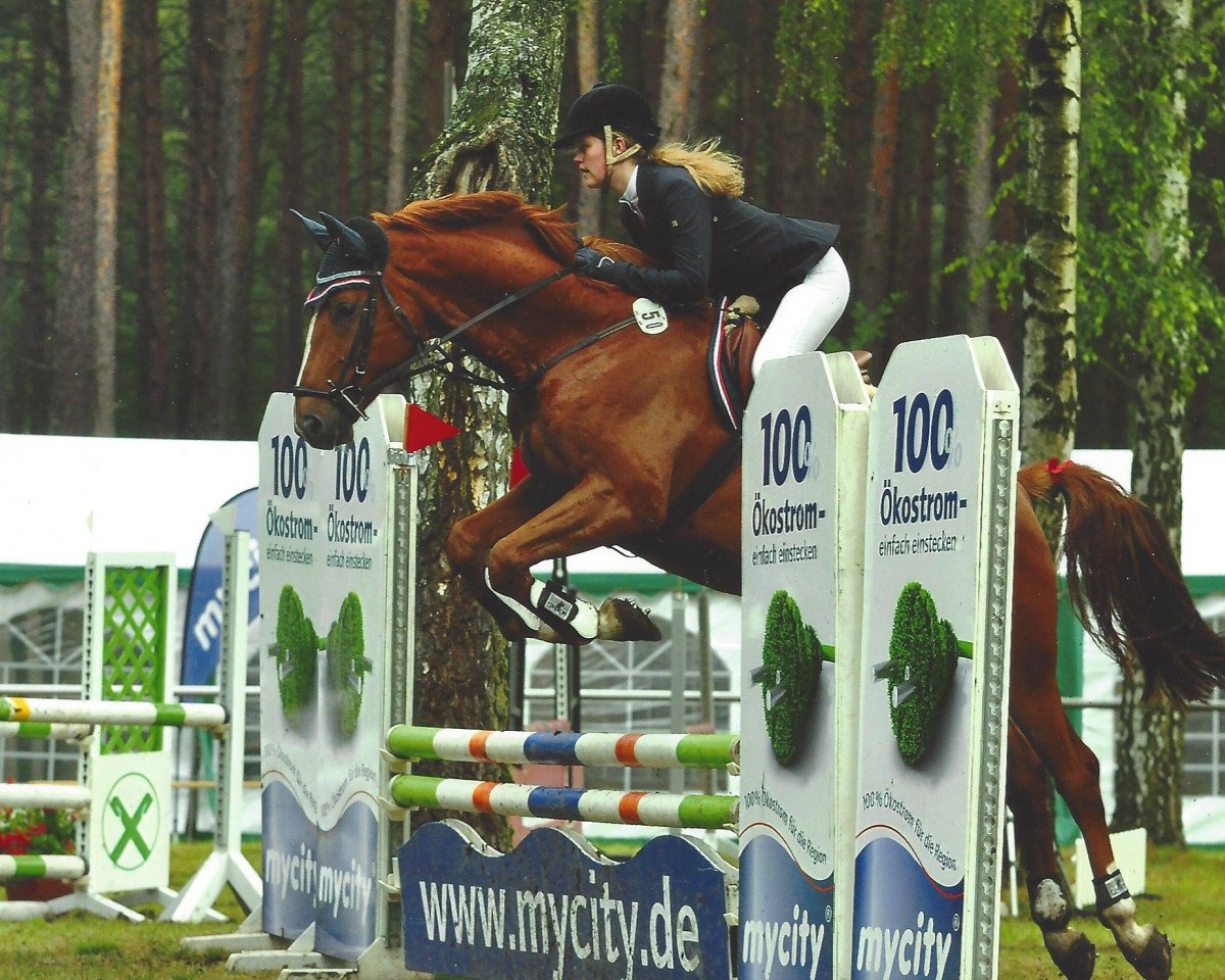 jumper Be Happy 56 (German Warmblood, 2010, from Berlusco)