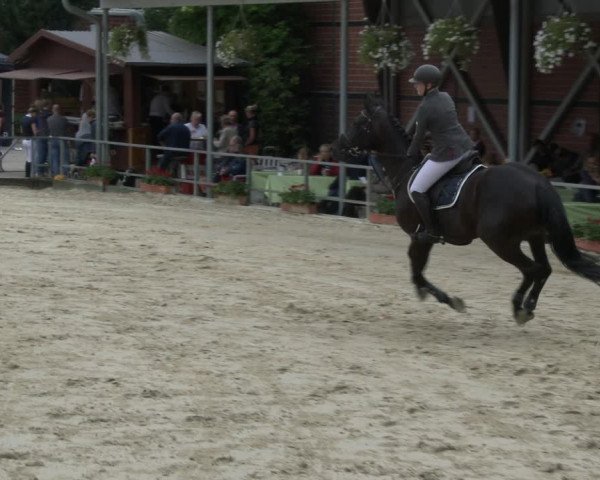 Reitturnier Münster-Albachten 2019