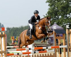 jumper Colman's Colourful (Zangersheide riding horse, 2011, from Colman)