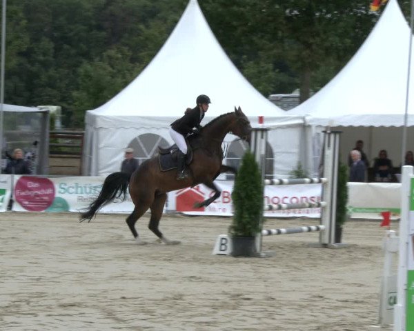Reitturnier Münster-Albachten 2019