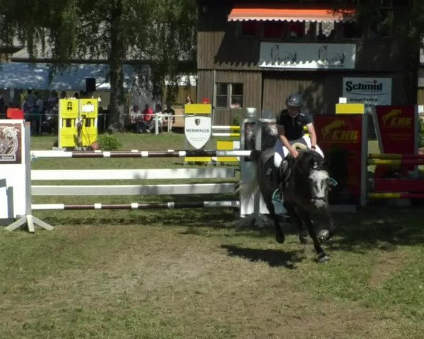 Reitturnier Memmingen/Schw. 2019