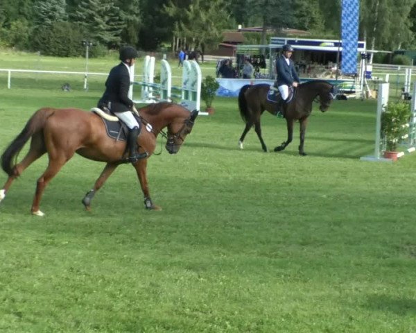 Reitturnier Memmingen/Schw. 2019