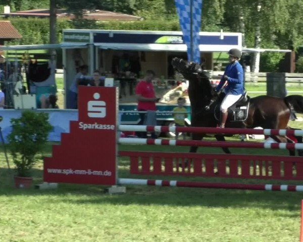 Reitturnier Memmingen/Schw. 2019