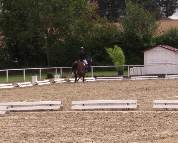 Reitturnier Menden 2019