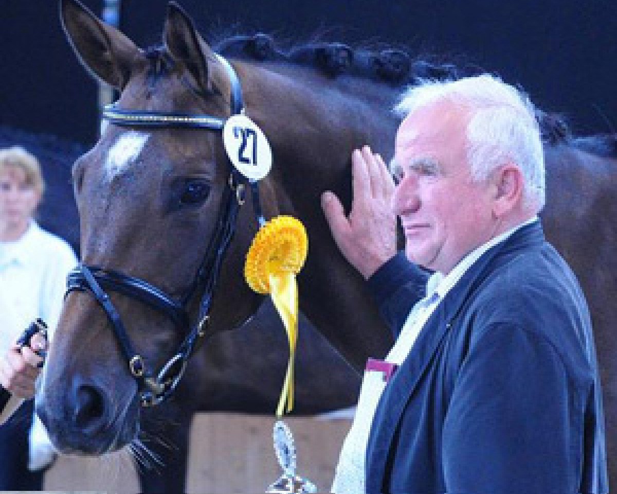 broodmare Surprice (Trakehner, 2004, from Cadeau)