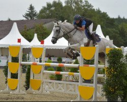 jumper Landew (Oldenburg show jumper, 2002, from Landgold)