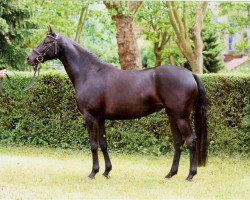 broodmare Uganda 38 (Trakehner, 2006, from Krönungswalzer)