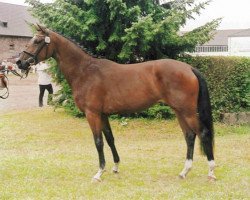 broodmare Godelia (Trakehner, 2003, from Donaufischer)