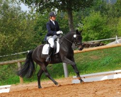 broodmare Charming Girl M (German Riding Pony, 2006, from Charm of Nibelungen)