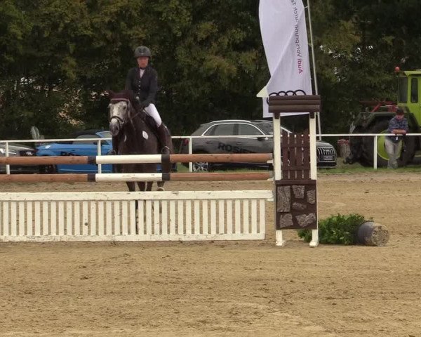 Reitturnier Menden 2019