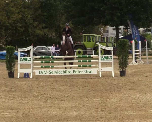 Reitturnier Menden 2019