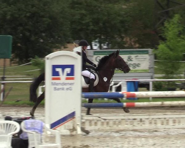 Reitturnier Menden 2019