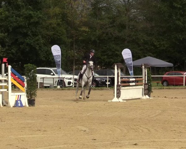 Reitturnier Menden 2019