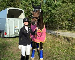 dressage horse Cantares H (Bavarian, 2009, from Fürst Grandios)