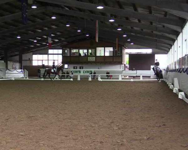 Reitturnier Münster-Albachten 2019
