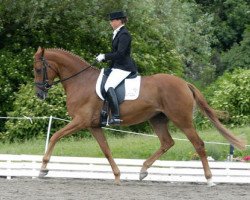 broodmare Acelya (Trakehner, 2001, from Polarion)