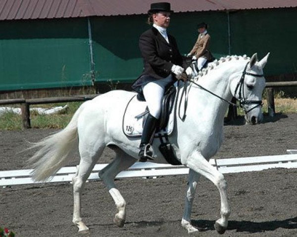 broodmare Perena 2 (Trakehner, 1992, from Herzzauber)