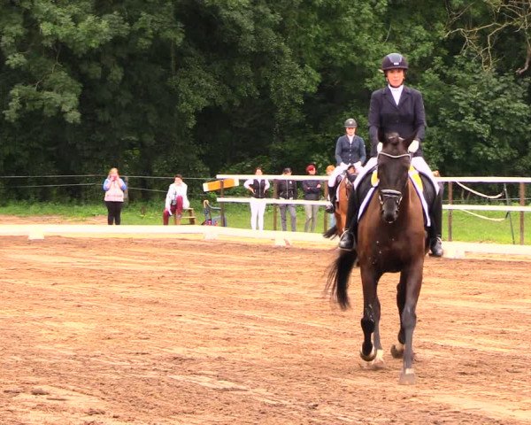Reitturnier Wulkow 2019